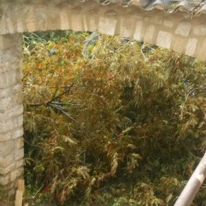 DSCN0835