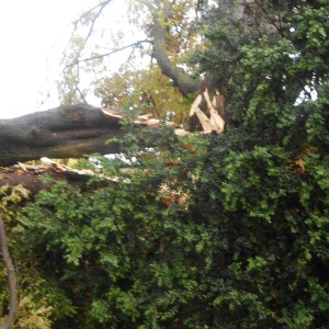 DSCN0838