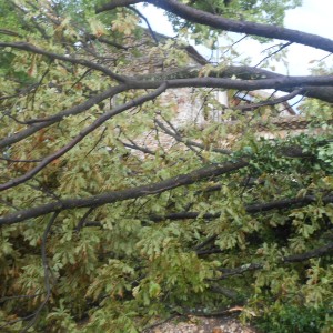 DSCN0839