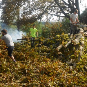DSCN0841