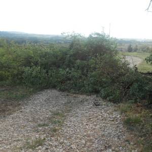 DSCN0866
