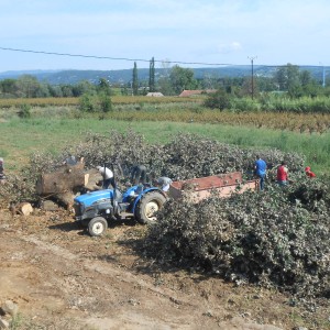 DSCN0966