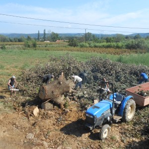 DSCN0967