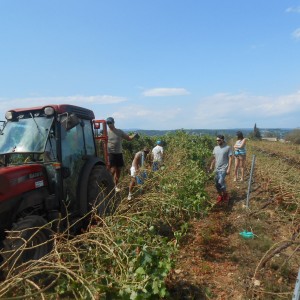DSCN0978