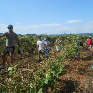 DSCN0979