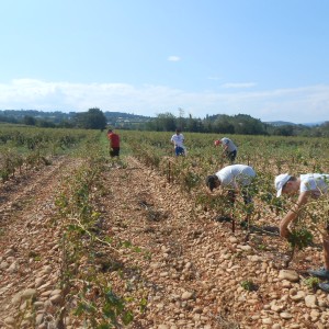 DSCN0986