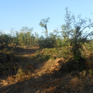 DSCN1101